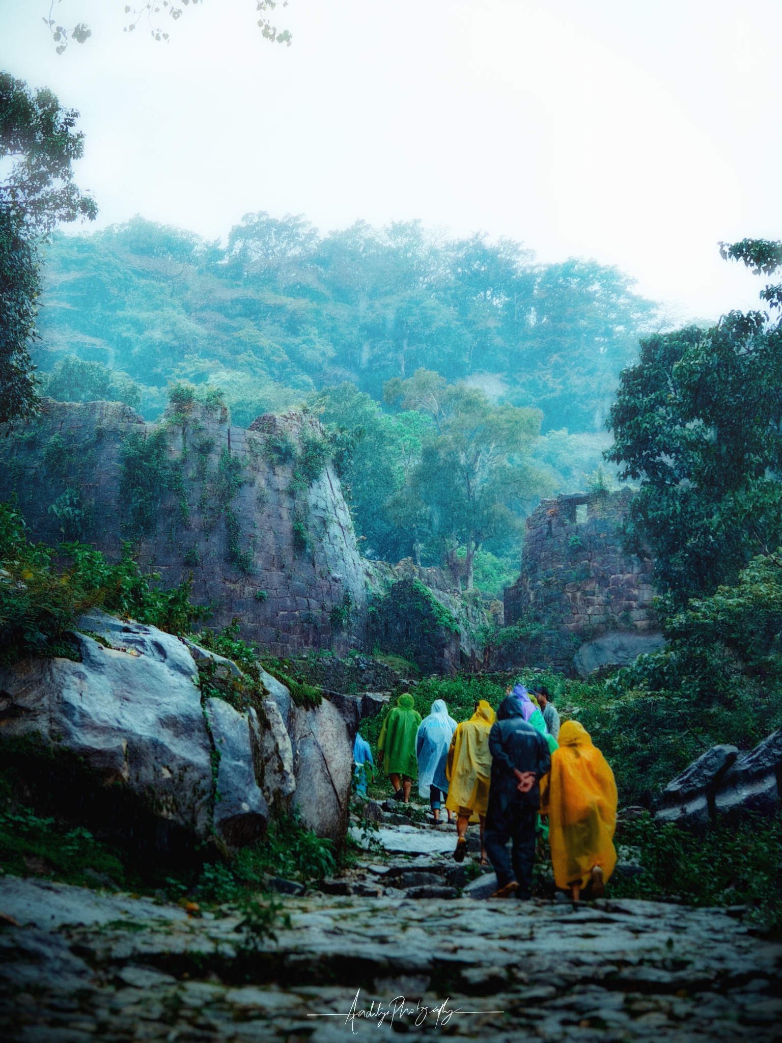 Misty Western Ghats landscape at sunrise
