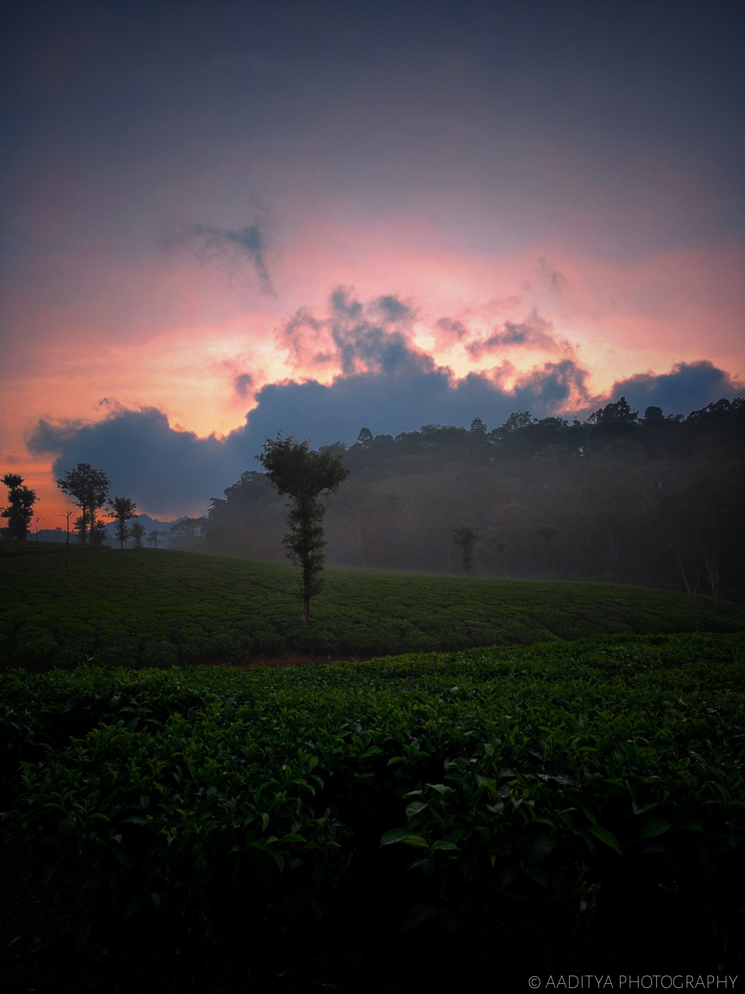A random sunrise from the hills of Nelliyampathy
