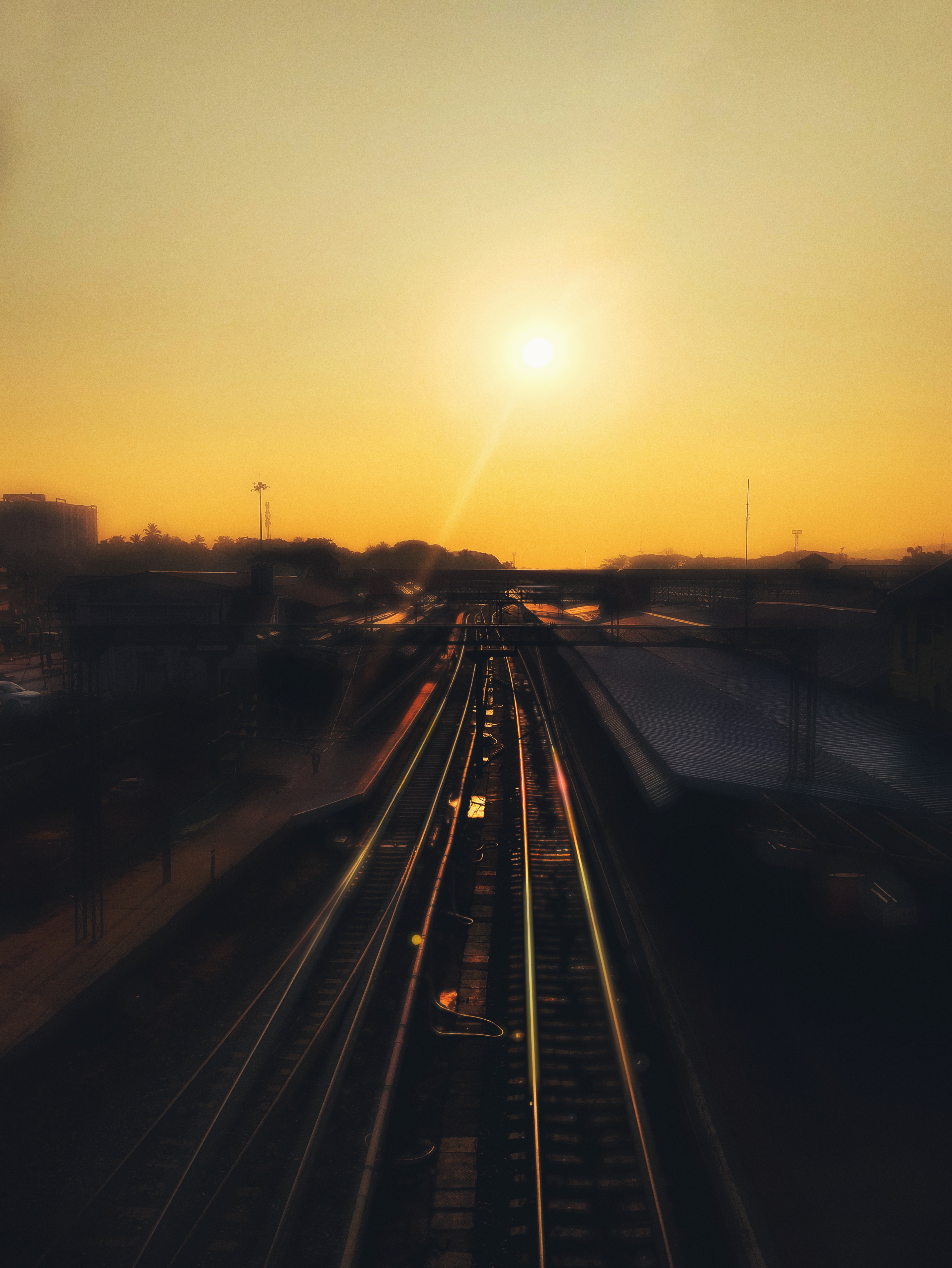 Golden Solitude