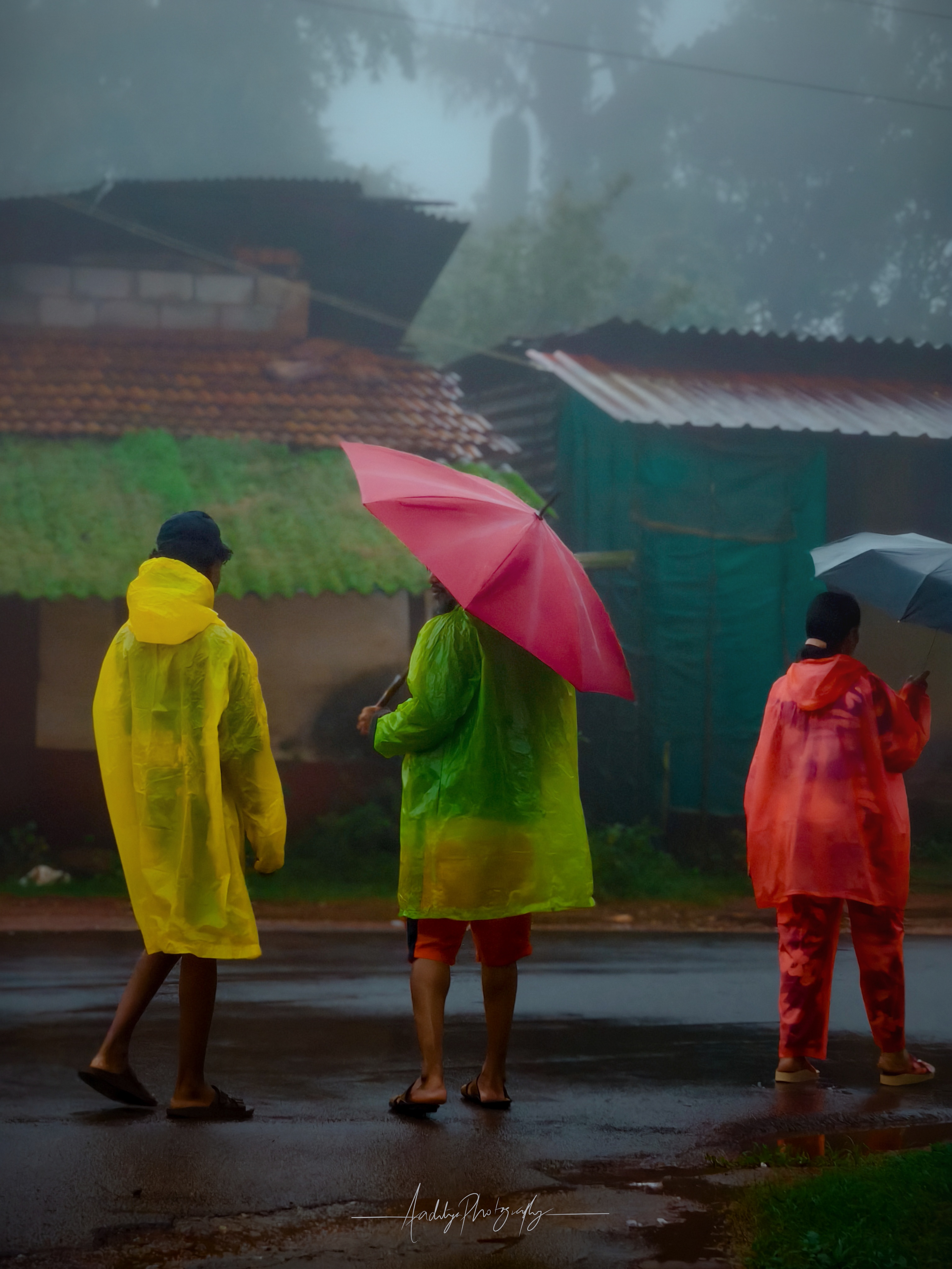 Monsoon Walkers through Agumbe